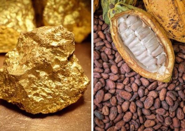 Gold and Cocoa