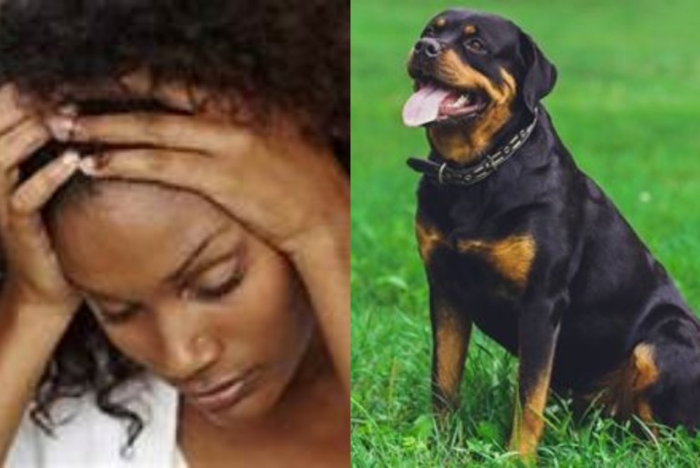 ‘I Once Slept With A Dog & I Was Paid GHC 46,000; Now I Get Wet Anytime I See Dogs’- Lady Sadly Reveals
