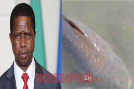 Zambia's President mourns death of fish