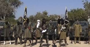 10 women farmers missing after Boko Haram killed 43 other in Borno ? Amnesty International