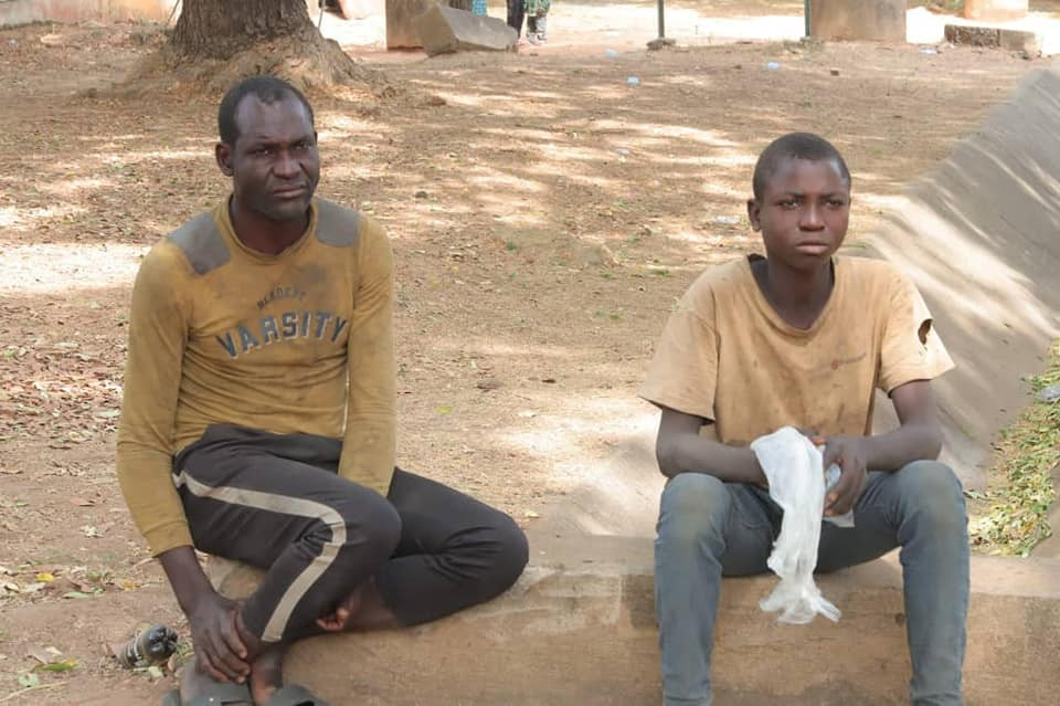 Father and son arrested for cattle rustling in Benue claim cows destroyed their farm produce